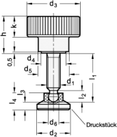 RÄNDELHOHLSCHRAUBE MIT 421.12-M10-35-21 RÄNDELHOHLSCHRAUBE MIT EDELSTAHL-GEWINDESTIFT 421.12-M10-35-21