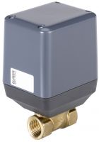Elektromotor. 269244 Elektromotor. Scheibenventil -Stellen 269244