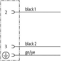 M12 Bu.gew mit freiem Leitungsende 3p.Dual-Keyway