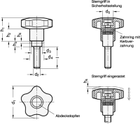 EDELSTAHL-SICHERHEITS-STE 5337.3-40-M6-20-NI EDELSTAHL-SICHERHEITS-STERNGRIFFSCHRAUBE 5337.3-40-M6-20-NI